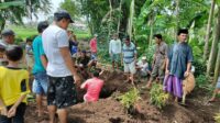 Warga saat membongkar makam nenek Ti'a. (Foto: Ambang)