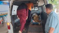 Korban meninggal saat telah dimasukkan ke dalam Ambulance untuk dibawa ke Puskesmas Cakru. (Foto: Ambang)