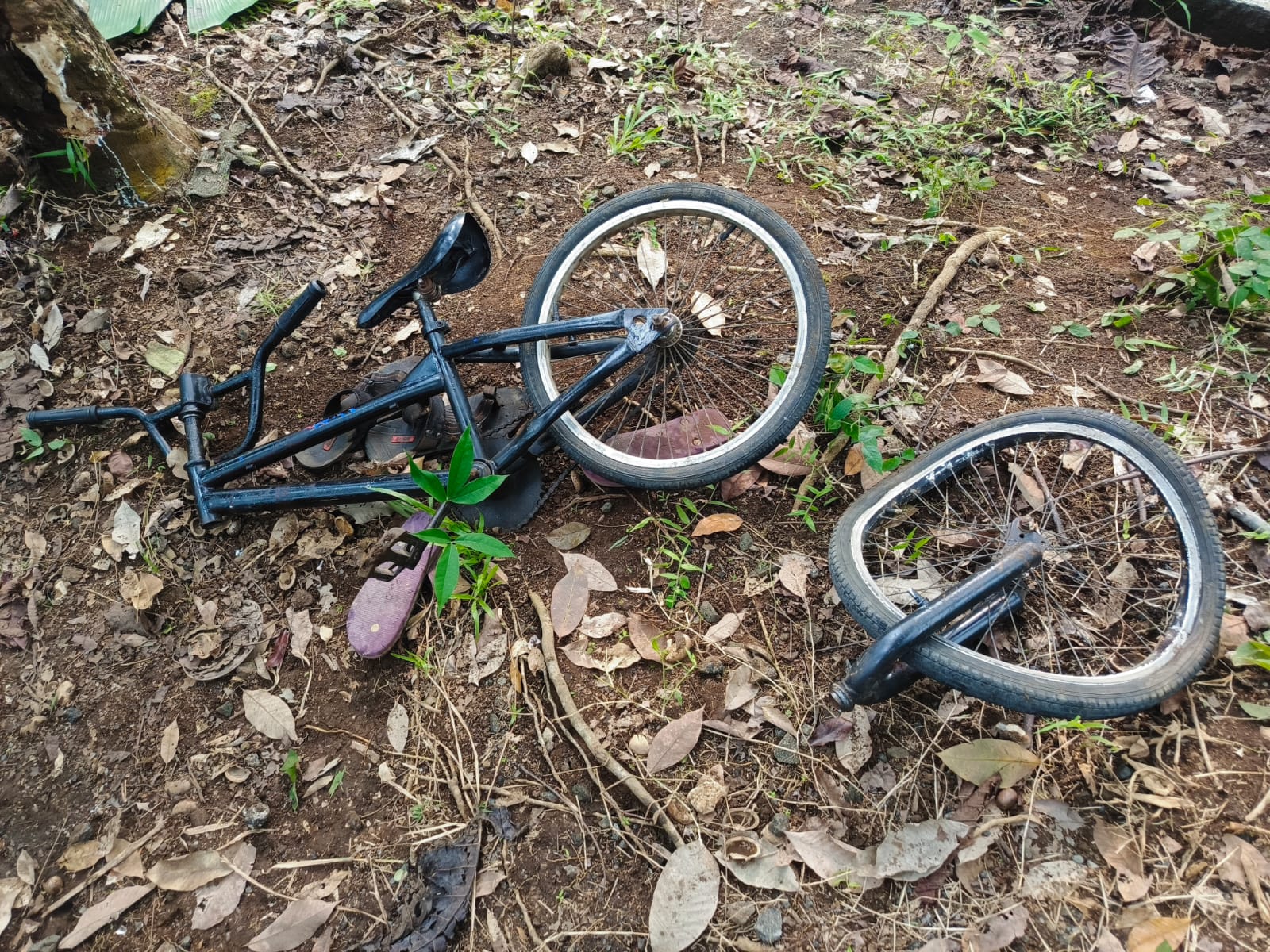 Kondisi sepeda angin jenis BMX yang dikemudikan tiga korban. (Foto: Istimewa)