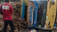 Truk tebu yang terguling dan menabrak pemotor di Jember (Foto: Istimewa)