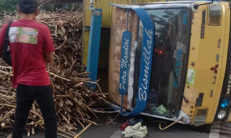 Truk tebu yang terguling dan menabrak pemotor di Jember (Foto: Istimewa)