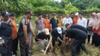 Penanaman pohon di lingkungan UIN KHAS Jember pada Senin (2/12/2024)