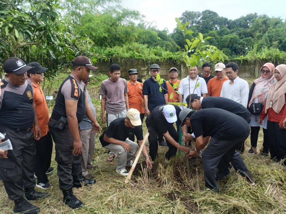 Penanaman pohon di lingkungan UIN KHAS Jember pada Senin (2/12/2024)