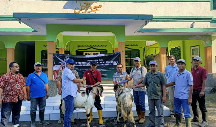 PTPN I Regional 5 menyerahkan kambing kurban pada warga. (Foto: Istimewa)
