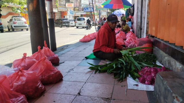Mashudi, warga Desa Karangpring, Kecamatan Sukorambi, Jember, sedang memilah daun pandan untuk dipotong (Foto: Fadli/Jurnalbangsa).