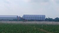 Tampak satu alat berat berjenis eskavator sedang beroperasi di tengah lahan sawah pertanian warga Jambearum, Kecamatan Puger, Jember (Foto: Istimewa).